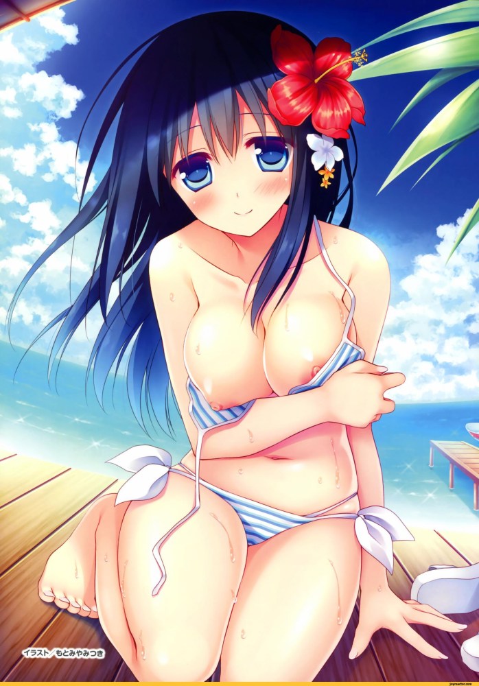 Хентай toranoana girls collection хентай