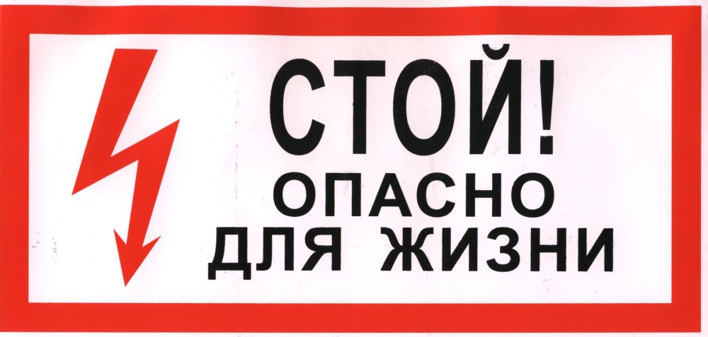Человек вид спереди и сзади