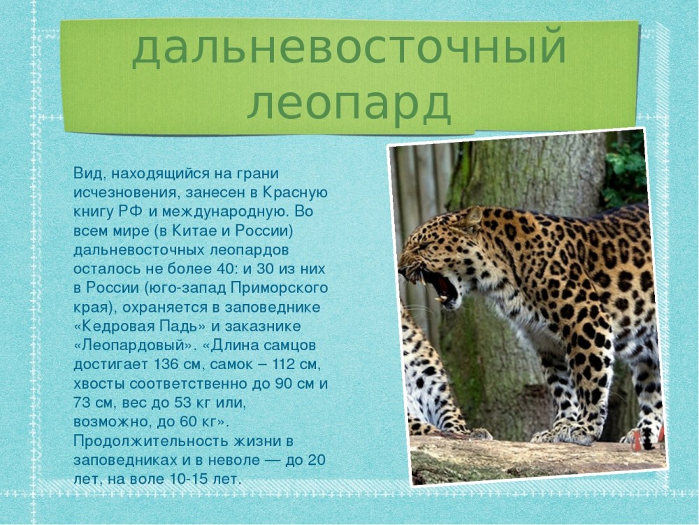 31 Размер брюк это какой русский размер