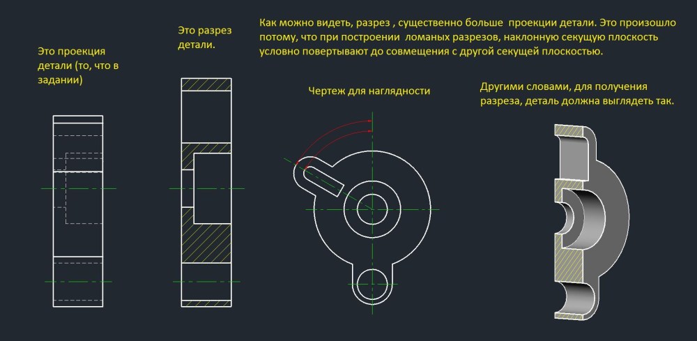 Слон стоящий на задних лапах