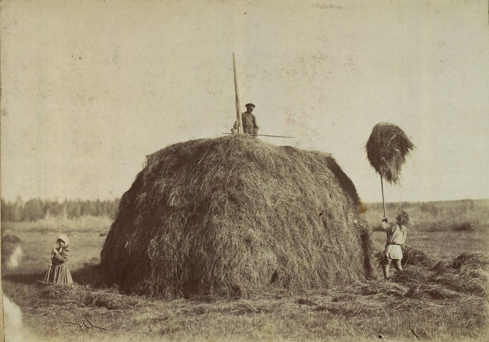 Ялтинского фотографа Петра Веденисова