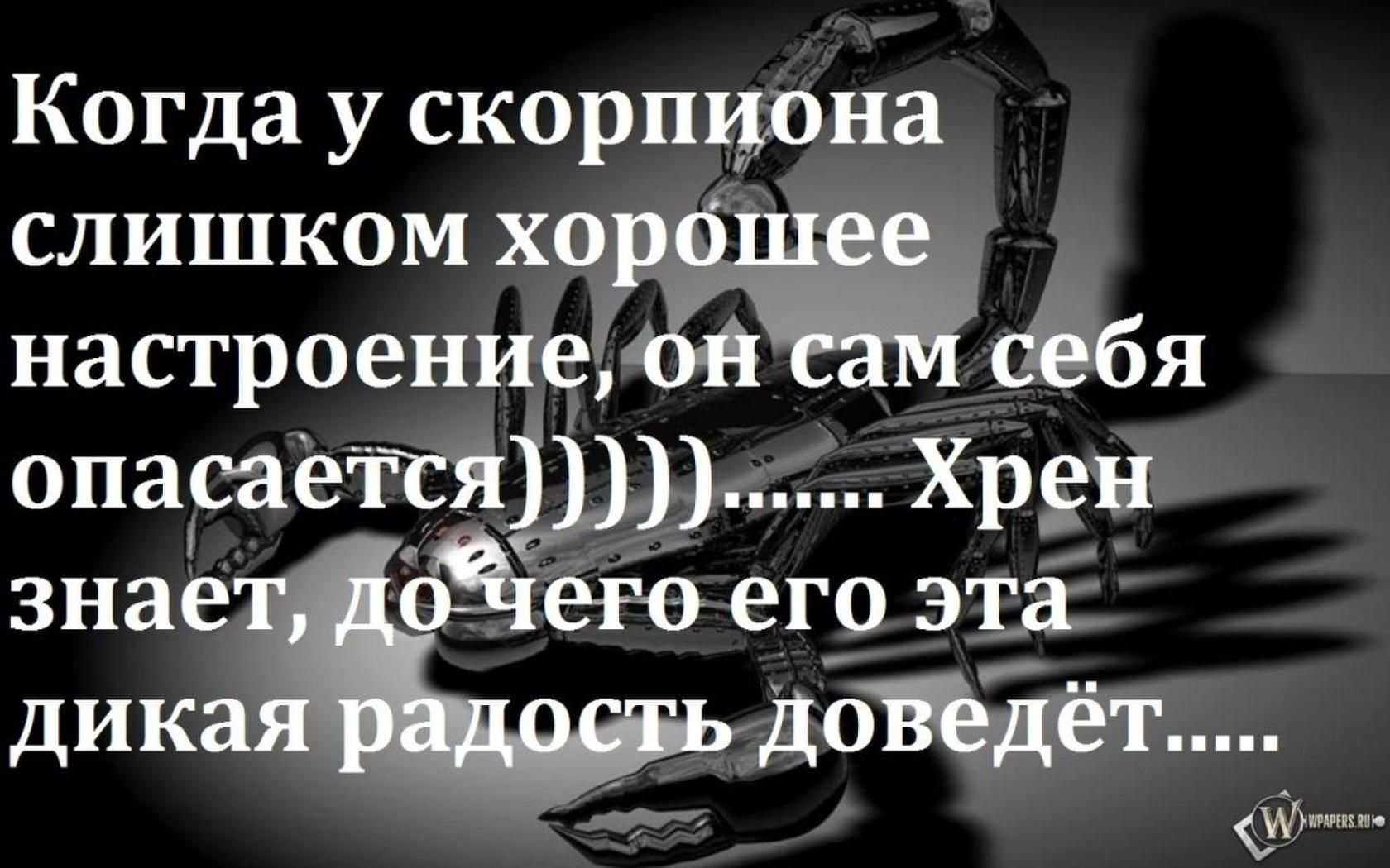 Скорпион симпатия. Скорпион цитаты. Высказывания про скорпионов. Скорпион прикольные высказывания. Статусы про скорпионов.