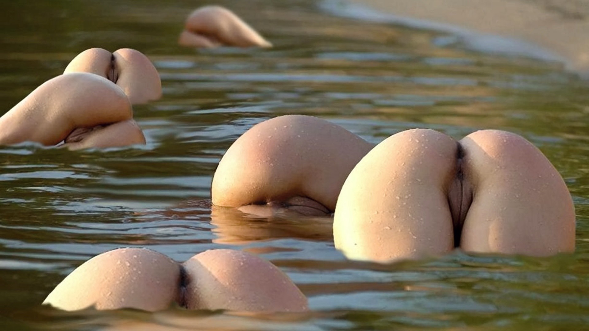 голые попы в воде фото 14