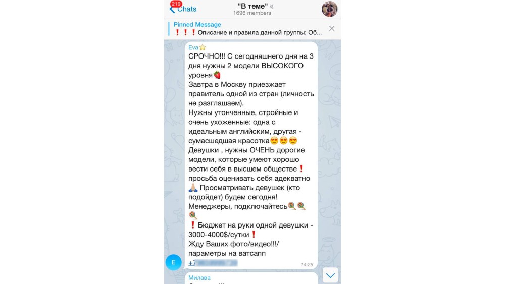 Чат телеграмм