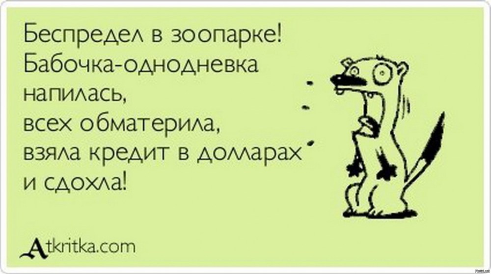 Тату zavali EBALO