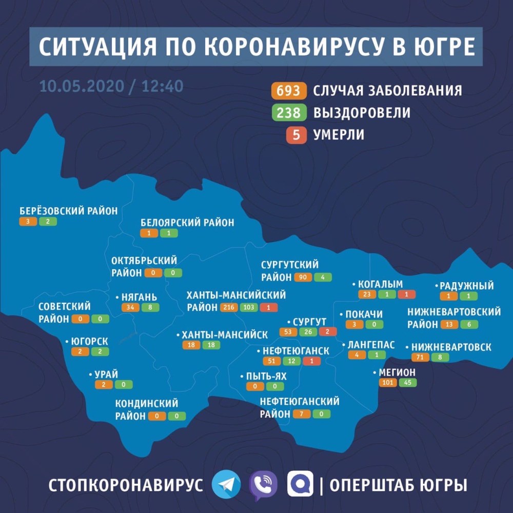 Наталья Сушкова Воронеж