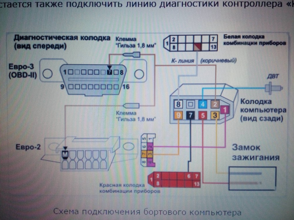 Лобная кость вид снизу и изнутри