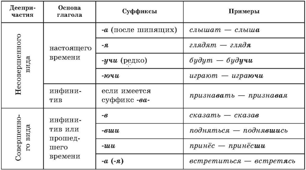 Структуры внутреннего строения паука