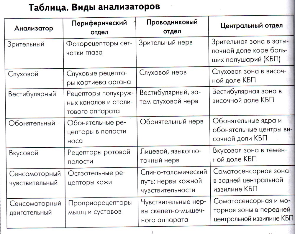 Правописание суффиксов деепричастий таблица