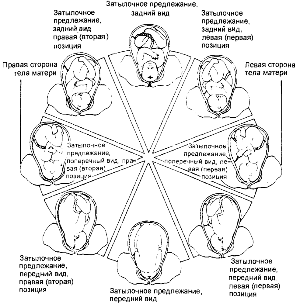 Шрифты для стринг арта