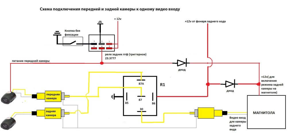 Ареал обитания пингвинов