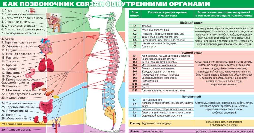Айфон 11 спереди и сзади