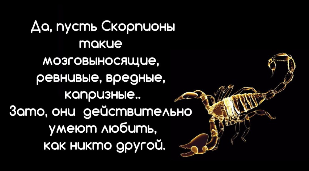 Афоризмы про скорпионов