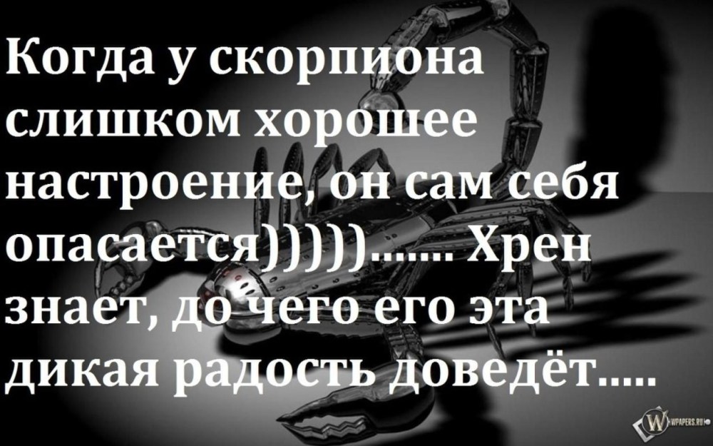 Скорпион цитаты