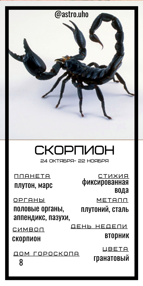 Кристиан Бейл и Александр Петров