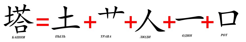 Основные мышцы нижней конечности анатомия