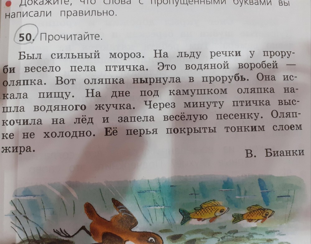 Нога спереди референс