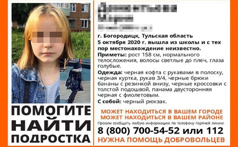 Лиза Алерт Тульская область