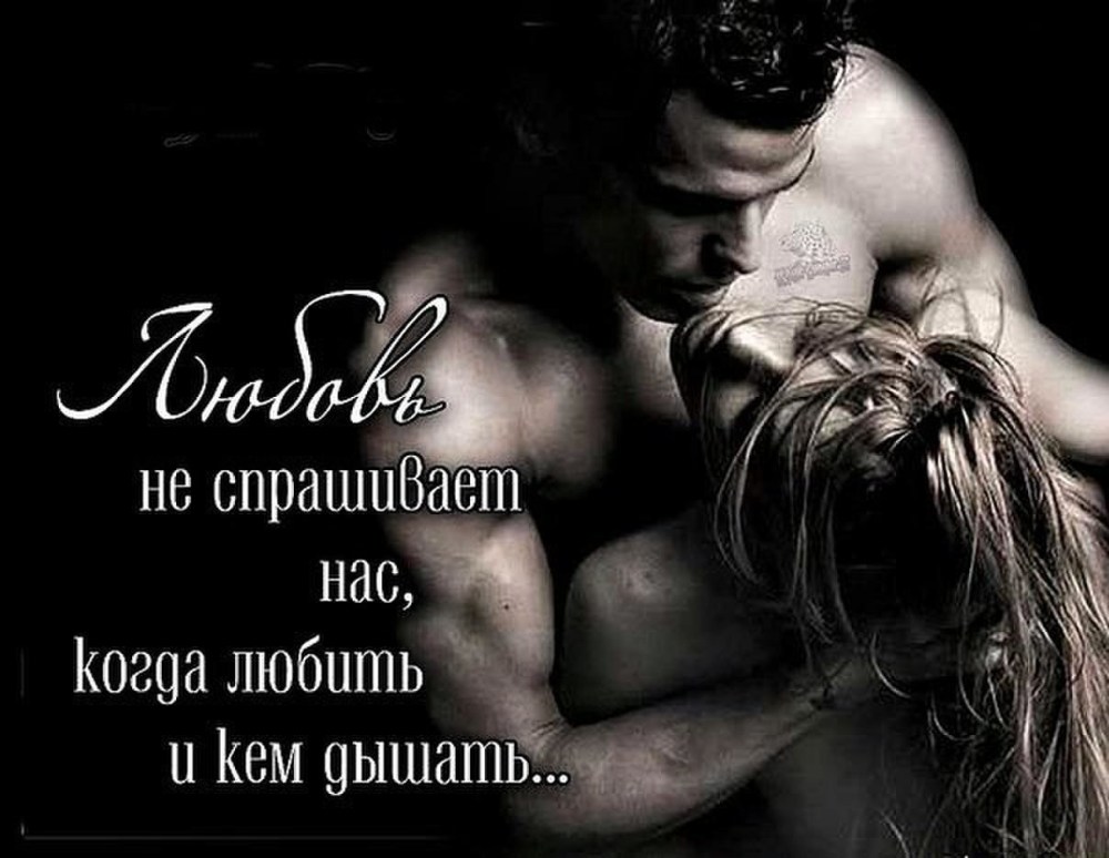 Эротические признания в любви