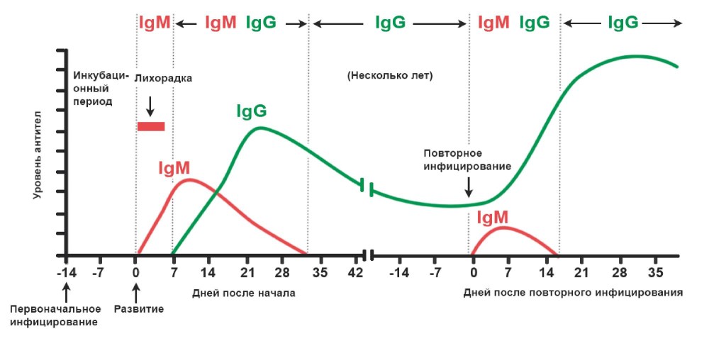 Севишганлар расми в постели