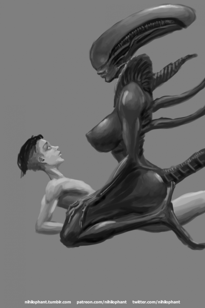 Ксеноморф самка Королева Rule 34
