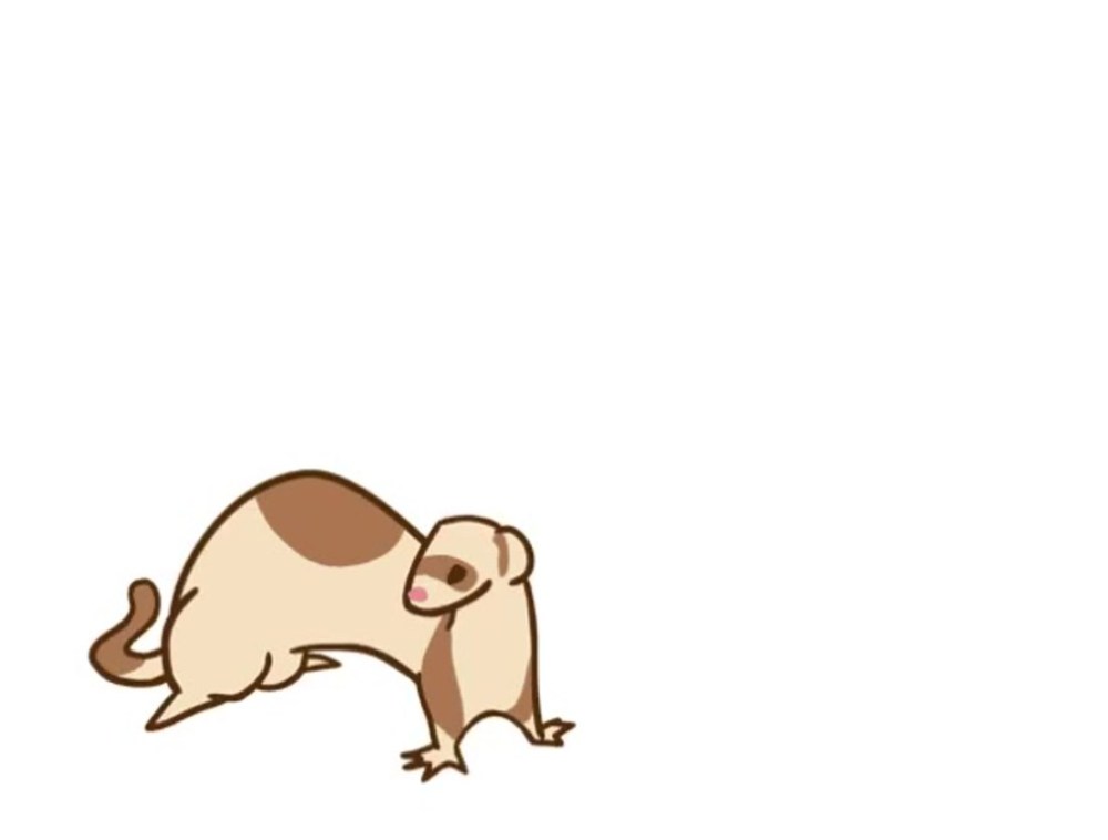 Хорек gif