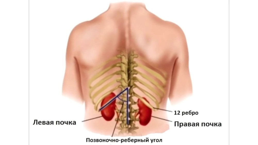Заполнение мониторинга