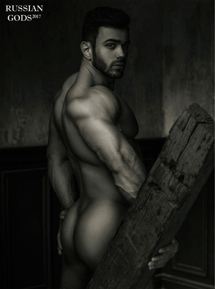 Страницы книги the male nude