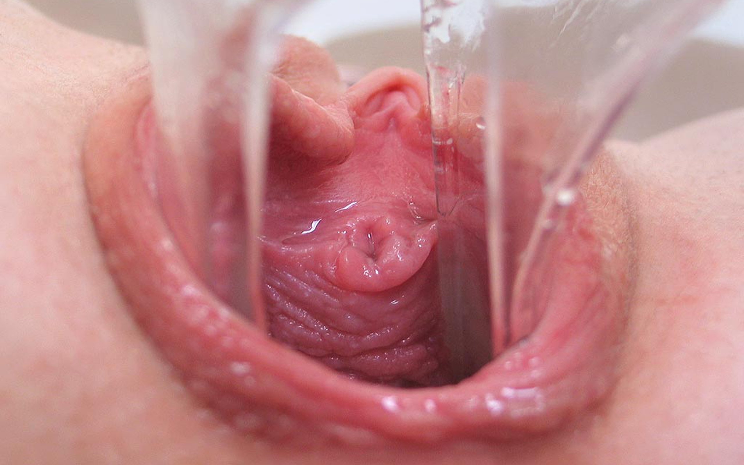 порно изнутри вагины фото 12