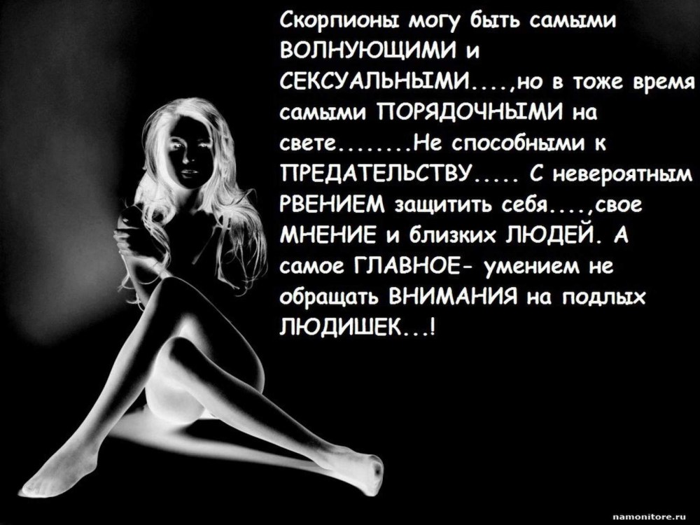 Фархат черный Скорпион мультсериал
