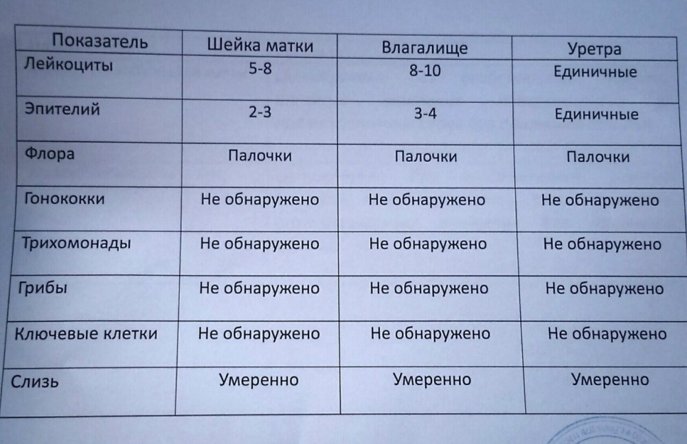 Флора мазок норма у женщин расшифровка