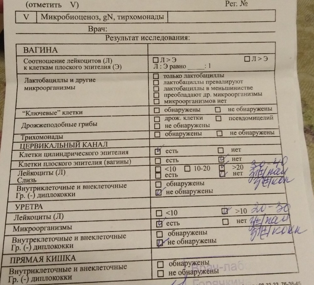 Мазок микроскопическое исследование норма лейкоцитов