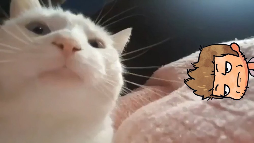 Кивающий кот