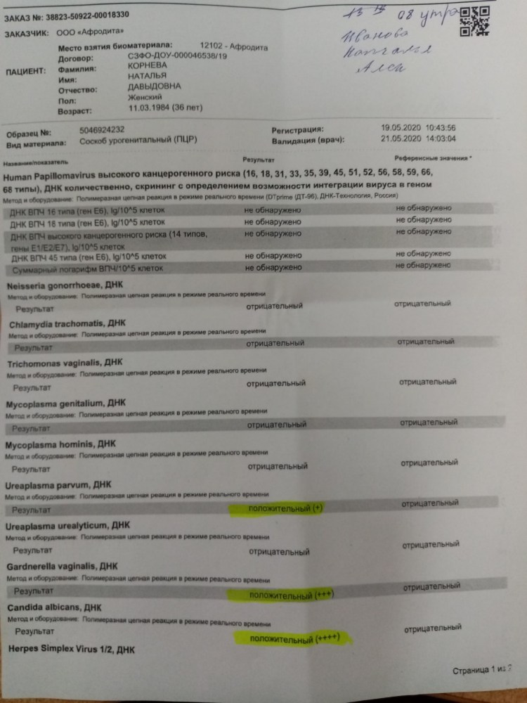 Стоя философия котики