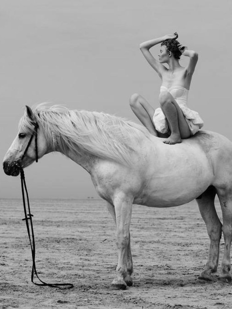 Фотосессия с белым конем