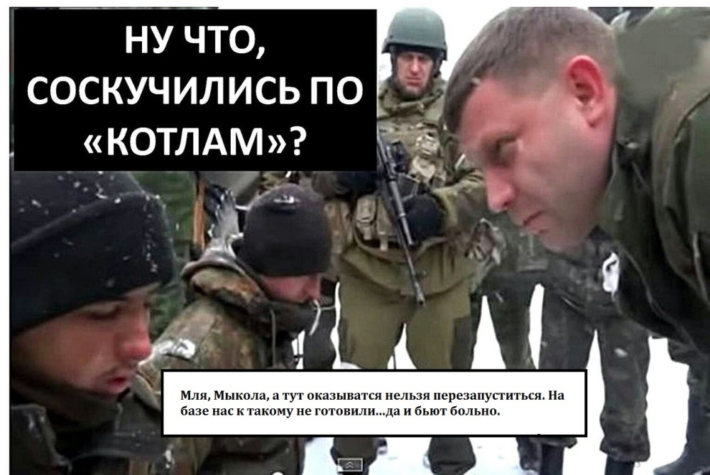 Укроп в котле