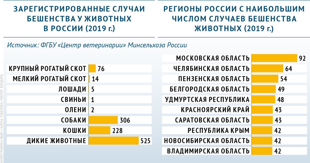 Статистика бешенства в России 2020