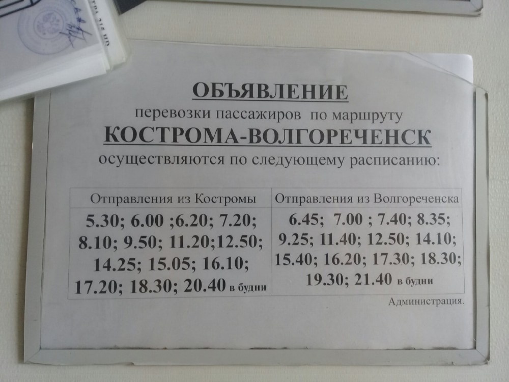 Елизавета Боярская грудь