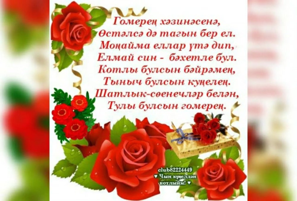 Близняшки из Казани Аделя и Алина