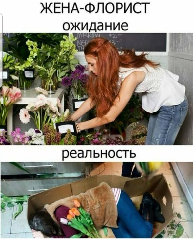Инструменты флориста