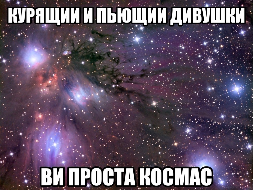 Алина и Дима